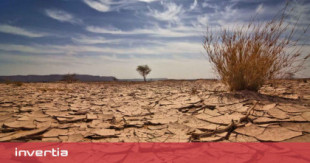 El coste de la sequía: si los embalses llegan al 39% de su capacidad se perderán 33.000 millones y 500.000 empleos