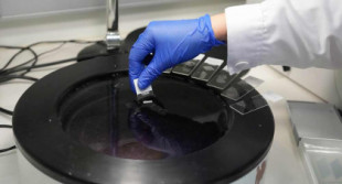 La córnea artificial desarrollada en Granada con biomateriales y células madre funciona en pacientes