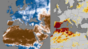 ¿España, tan seca como el Sáhara?: las imágenes que ponen la península como zona cero de la sequía