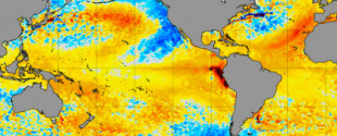 Los científicos están alarmados porque la temperatura de la superficie del mar alcanza niveles desconocidos [ENG]