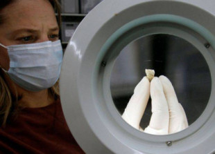 Un grupo de científicos logra recuperar el ADN de una mujer en un colgante de hace 20.000 años