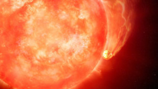 Astrónomos presencian cómo una estrella devora un planeta: posible anticipo del destino final de la Tierra