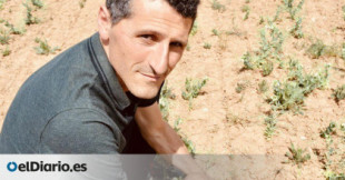 La sequía muestra a los agricultores el impacto del cambio climático: “No puedo arriesgarme a sembrar maíz y no regarlo”