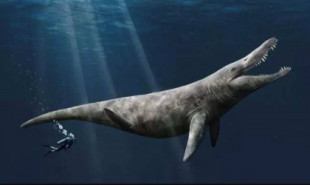 El pliosaurio doblaba en tamaño a una orca