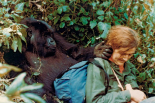 El asesinato sin resolver de Dian Fossey: ‘la señora de los gorilas’