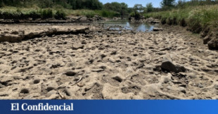 Doñana, última llamada: piden la intervención internacional para evitar el desastre
