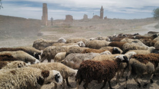 La sequía aboca a sacrificar animales y pone en jaque a las granjas: "Se manda al matadero a ganado productivo"