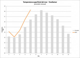 La temperatura del mar en Vigo alcanza los 20 grados, el valor máximo registrado [Gal]