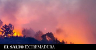 Denuncian a todos los alcaldes de La Vera por incumplir la ley en Prevención de Incendios