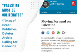 'Palestina debe ser borrada': 'Times of Israel' publica y elimina artículo que pide genocidio [EN]