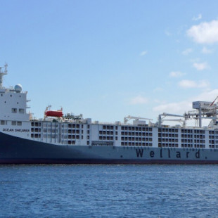 Un "macro establo" flotante: el barco que transporta a más de 75.000 ovejas a través de los océanos