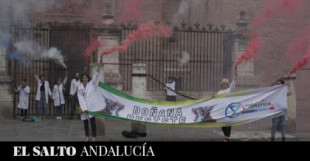 La Rebelión Científica se encadena a la catedral de Sevilla para exigir un plan de acción climático