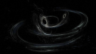 Los agujeros negros pueden ser defecto en el espacio-tiempo [en]