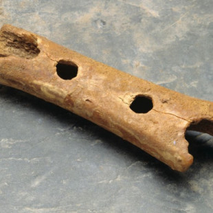 Flauta Neanderthal [ENG]