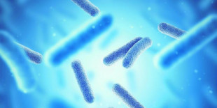 La Inteligencia Artificial identifica un nuevo antibiótico eficaz contra una &quot;superbacteria&quot;