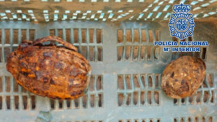 Desactivan dos granadas de mano de la I Guerra Mundial en una máquina de patatas en Granada
