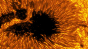 Publican imágenes inéditas de la superficie del Sol con un detalle "sin precedentes"