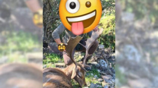 Atrapan a un cazador furtivo por subir fotos a las redes sociales