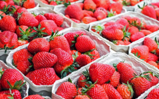 La cadena de supermercados Aldi deja de comprar las "fresas de la sequía" de Doñana