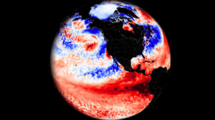 El Niño se está desarrollando rápidamente, con datos a largo plazo que ya muestran que es probable un evento fuerte, que afectará a los patrones de clima de otoño e invierno (Eng)