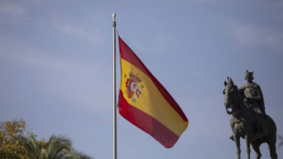 Estrasburgo obliga a España a indemnizar a un sindicalista que ultrajó la bandera