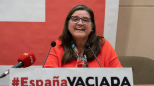 Las doce provincias en las que España Vaciada se presentará a las elecciones