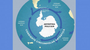 Alerta climática: la corriente marina de la Antártida se está frenando antes de lo previsto