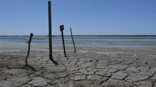 España, el desierto de Europa: "Es un problema irreversible"