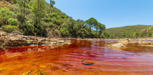Ríos Tinto y Odiel: el principal aporte de contaminantes tóxicos de origen minero a los océanos del mundo