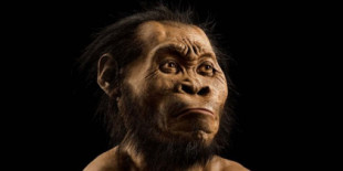"Homo naledi": la especie que enterraba a los muertos hace 300.000 años y que altera la evolución humana