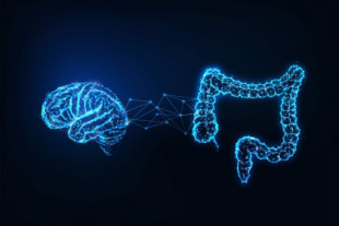 Una nueva tecnología desentraña las conexiones entre el cerebro y el intestino