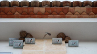 El supermercado en Xàbia que protege sus nidos de golondrina
