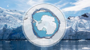 Gráfico climático de la semana: los niveles récord de hielo marino antártico preocupan a los científicos