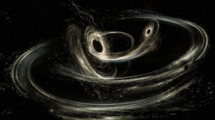 Einstein tenía razón: escuchan por primera vez el susurro del Big Bang en el espacio-tiempo