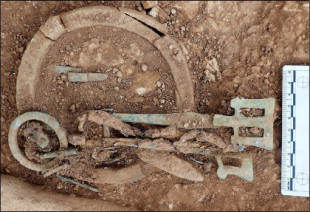 Enigmáticos anillos de marfil encontrados en tumbas anglosajonas de la Alta Edad Media proceden de elefantes africanos