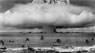 Operación Crossroads: cuando EE. UU. lanzó bombas nucleares bajo barcos llenos de animales