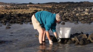 Jesús Ortea, el investigador asturiano que ha descubierto 954 especies