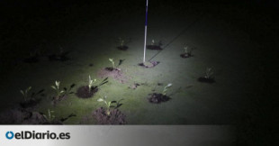 Activistas plantan cebollas y berenjenas en campos de golf de Bizkaia y Navarra para denunciar el derroche de agua