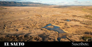 Así muere un Parque Nacional: las Tablas de Daimiel ante el colapso