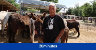Burrolandia, hogar de decenas de animales rescatados, busca un heredero que preserve su felicidad