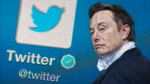 Twitter suspenderá cuentas que usen términos 'cis' y 'cisgénero', anuncia Musk