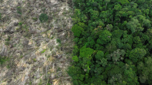 Brasil: la deforestación en la Amazonía se redujo un 33% en los primeros seis meses de 2023