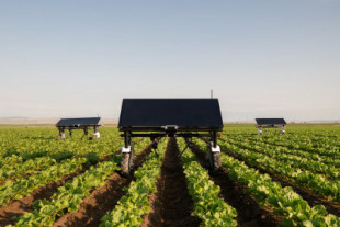 Robot autónomo solar para eliminar malas hierbas sin pesticidas