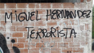 "Miguel Hernández terrorista" Polémica por las pintadas que se pueden encontrar en varias calles de Alicante