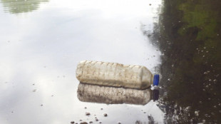 Los microplásticos afectan más en algunos lagos que en peores zonas de los océanos