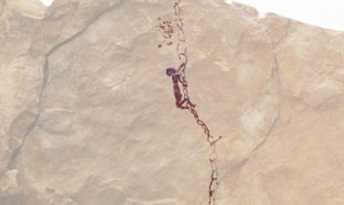 Una pintura rupestre demuestra que las sociedades prehistóricas dominaban la escalada y el uso de material para minimizar el riesgo