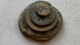 El hallazgo de 50 monedas de la época visigoda en el yacimiento de Riba-roja revela que tenían su propia fábrica