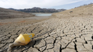 Más allá de Doñana: la Axarquía pone ante la sociedad la cruda realidad del cambio climático