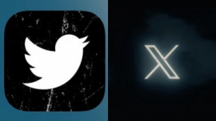 'Pronto diremos adiós a la marca Twitter': Elon Musk mata al pájaro de Twitter por el nuevo logo de 'X' [EN]