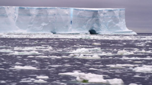 Los niveles de hielo marino antártico se sumergen en un 'evento de cinco sigma', mientras los expertos señalan el empeoramiento de las consecuencias para el planeta [ENG]